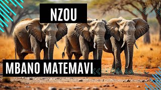 Nzou Matemavi  Zimbabwe totems  Shona poetry [upl. by Ahsiekat774]