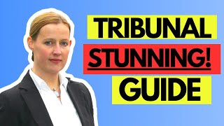 How To Complete A PIP Tribunal Submission Pack  Step by Step [upl. by Henry59]