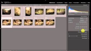 Lightroom uitleg deel 4 Bibliotheek [upl. by Schroer986]