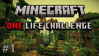 I DONT KNOW THIS GAME  Minecraft Challenge Part 1 [upl. by Sicular452]