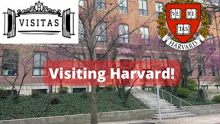 Harvard Visitas 2022 [upl. by Castillo]