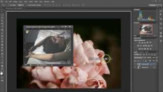 Tutorial 01  How to use PSD Colorings [upl. by Dlnaod531]