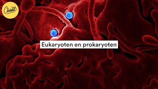 Eukaryoten en prokaryoten wat is het verschil  Mr Chadd Academy [upl. by Megan384]