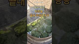 쑥개떡 만들기 가마솥 요리 [upl. by Randal]