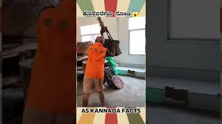 Oil Removing From Sunflower  kannada facts karnataka amazing youtubeshorts trendingshorts [upl. by Eilyw]