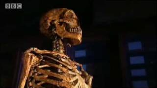 Highpitched voice theory  Neanderthal  BBC science [upl. by Eatnohs]