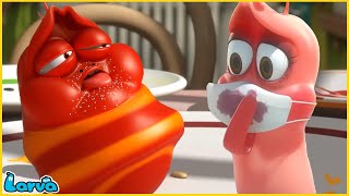 LARVA  DECRY  CARTOON MOVIE FOR LIFE THE BEST OF CARTOON  HILARIOUS CARTOON COMPILATION [upl. by Laeahcim]