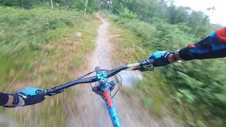 Castlewellan Mountain Bike Trails  Black Trail 50 to 37  Tommy Magnenat MTB [upl. by Eirdua909]