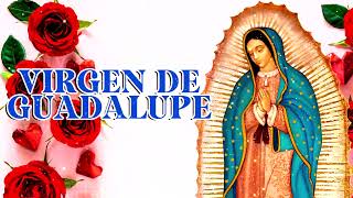 MAÑANITAS PARA LA VIRGEN DE GUADALUPE  Cantos Guadalupanos 2024 [upl. by Godfry]