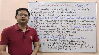 Endocrine Gland Part17 Hormone Regulating Calcium Level  Physiological Role of Calcium in Body [upl. by Goda780]