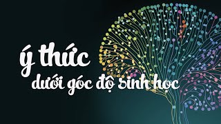 Ý THỨC LÀ GÌ dưới góc độ SINH HỌC [upl. by Casilde]