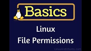 linux file permissions explained  how to change file permission in linux  linux file permissions [upl. by Iolanthe]