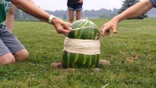 Watermelon400 rubber bands [upl. by Arney]