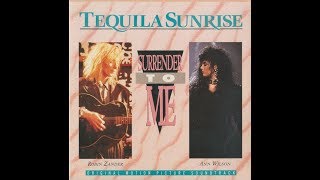 Ann Wilson And Robin Zander  Surrender To Me 1988 HQ [upl. by Hewie]