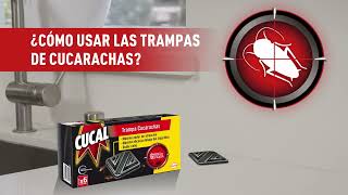 TRAMPAS para CUCARACHAS Cómo FUNCIONAN y Cómo USARLAS 🎯  Tu Casa Club [upl. by Enoitna]