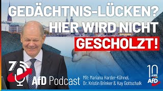 Genug gescholzt – der Kanzler muss endlich Klarheit schaffen 7 Tage Deutschland  Nr 142023 [upl. by Einatirb]