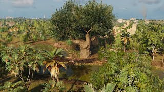 Royal Flora  Assassins Creed Origins  Papyri Puzzle [upl. by Merth]