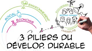 Les 3 piliers du développement durable regard scientifique [upl. by Laughlin28]