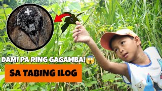 Ang Pagbabalik Sa Ilog Sobrang Dami Pa Ring Gagamba  Gagamba Hunting [upl. by Ollecram]