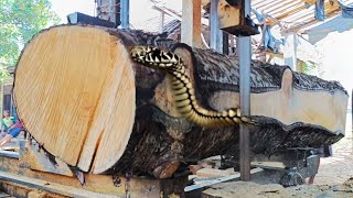 The process of cutting beautiful old patterned spruce wood [upl. by Nwahsir]