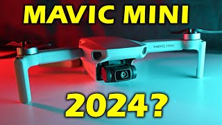 DJI Mavic Mini Worth Buying in 2024  10 things you NEED to Know [upl. by Zaller289]