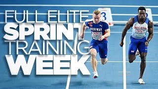 Elite Sprint Training Week  Road To 20 ³ [upl. by Ynnod]