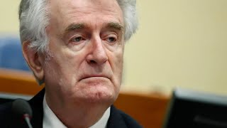 Lebenslange Haft für Radovan Karadžić [upl. by Rafaj]