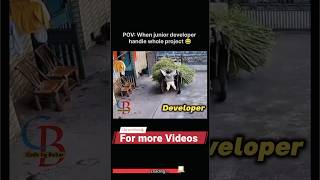 Junior Developers youtube youtubeshorts ytshorts coding developer programming memes funny [upl. by Scuram]