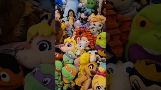 Toy Show Fun shop haul toys dolls plush toyshow show fun [upl. by Dlorag]