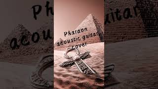 Gypsy Kings Pharaon Acoustic Guitar Cover Shorts [upl. by Ahsaz]