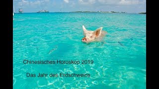 Chinesisches Horoskop 2019  Das Jahr des Erdschweins [upl. by Elkraps]