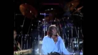 Vasco Rossi  Deviazioni  Fronte Dal Palco Live 90 [upl. by Kcirdla189]