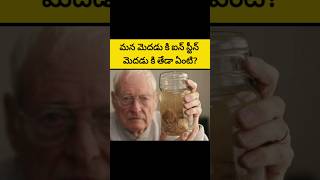 Einstein brain mystery PART2 interestingfactsintelugu facts ytshorts [upl. by Oman]