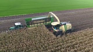 Loonbedrijf Van Eijck uit Alpen  Ruwvoerwinning met Krone machine Trekkerweb [upl. by Sharma]