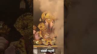 ganpatizone ganeshostav chaturthi youtubeshorts sankashti chaturthi aarti askganesha vinayak [upl. by Giacinta960]