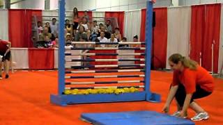 Dog Show  High Bar Jumping [upl. by Ludlew]