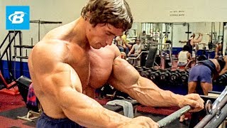 How To Train For Mass  Arnold Schwarzeneggers Blueprint Training Program [upl. by Sulihpoeht540]