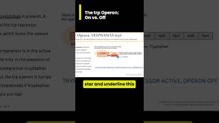 The tryptophan trp operon On vs Off Walkthrough [upl. by Wilbur]