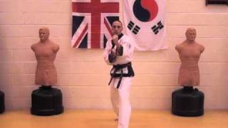 Tang Soo Do Basics Part 3 [upl. by Anemolihp100]