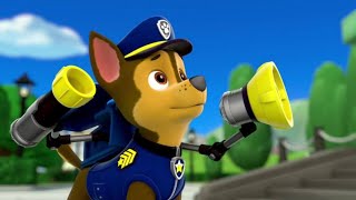 Paw PatrolCharzocky  Complicated by Nyman amp Nate Mitchell [upl. by Cha972]