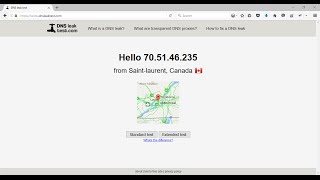 Check for DNS Leak on VPN [upl. by Atekram]