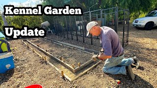 Enclosed Garden Preparing the Cement Concrete Footing for Dog Kennel Vegetable Container Gardening [upl. by Ytak932]