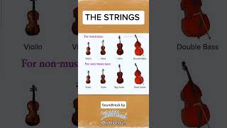 The Classical Strings violin viola cello bass [upl. by Ylak]