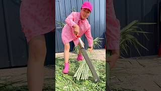 Very Useful Tool for Rural Farmer  Amazing Grass Cutting Tool shorts youtubeshorts tools [upl. by On230]