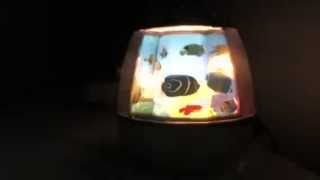 Fish lamp [upl. by Fish]