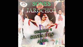 Sones jarochos 07 M [upl. by Inalaehon]