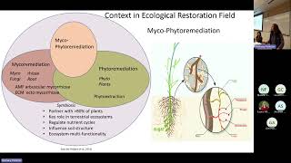 MycoPhytoremediation in Riparian Forest Buffers Restoration Education Training amp Rematriation [upl. by Alyworth192]