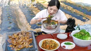 Real Mukbang Korean BBQ amp Cold Kimchi Noodles eaten at a country house ☆ Soju [upl. by Tnayrb100]