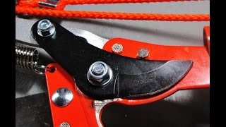 My Opinion on the Harbor Freight Tree Pruner [upl. by Naerb936]