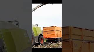 Advanced Solutions in Silage Harvesting for Dairy Farms 🌽 [upl. by Arria]